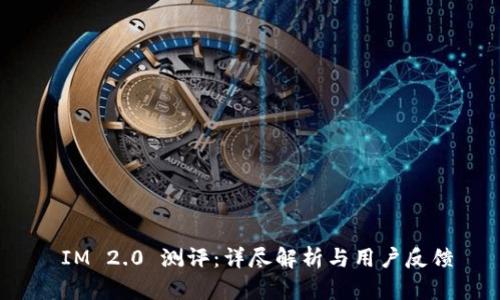  IM 2.0 测评：详尽解析与用户反馈
