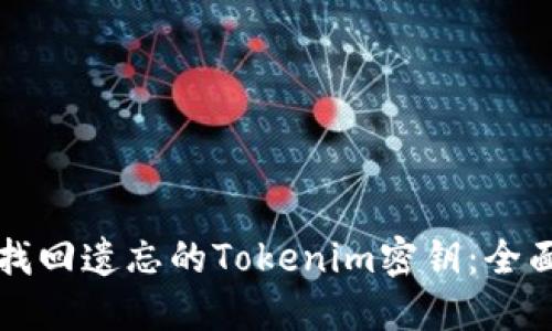 如何找回遗忘的Tokenim密钥:全面指南