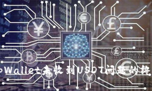 解决tpWallet未收到USDT问题的终极指南