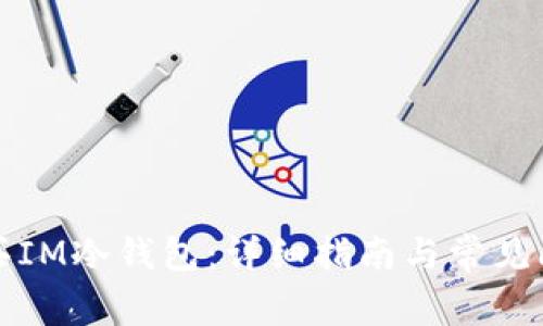 如何购买IM冷钱包：详细指南与常见问题解析