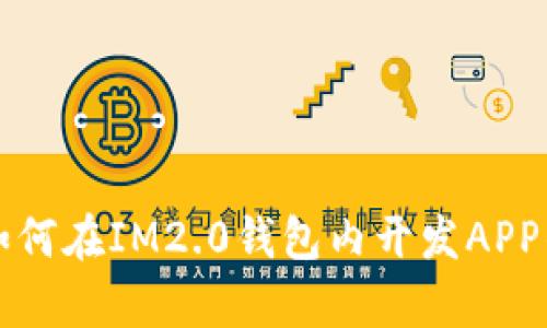 全面解析如何在IM2.0钱包内开发APP的实用指南