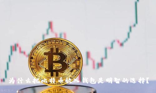 为什么把比特币放入钱包是明智的选择？