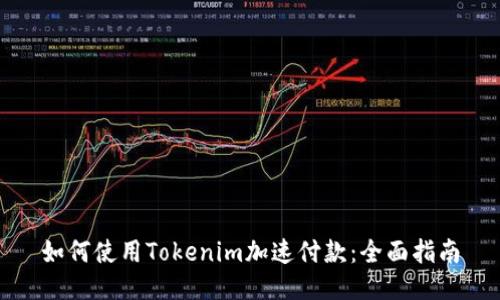 如何使用Tokenim加速付款：全面指南