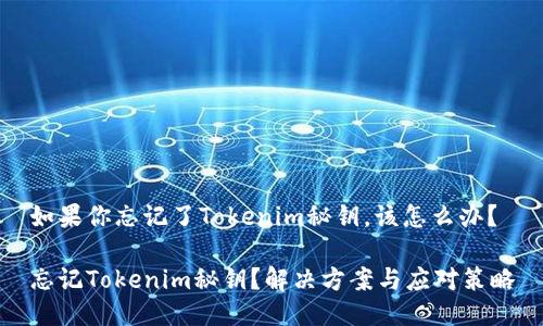如果你忘记了Tokenim秘钥，该怎么办？

忘记Tokenim秘钥？解决方案与应对策略