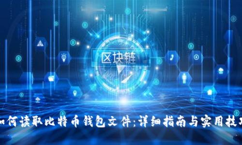 如何读取比特币钱包文件：详细指南与实用技巧