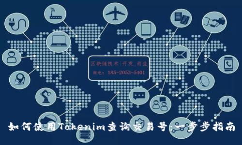 如何使用Tokenim查询交易号：一步步指南