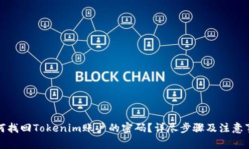 如何找回Tokenim账户的密码？详尽步骤及注意事项