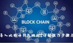 如何正确导入比特币钱包