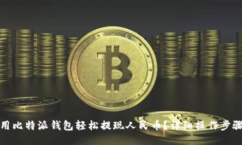 如何使用比特派钱包轻松提现人民币？详细操作步骤与技巧