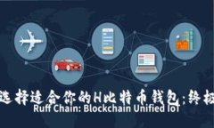 如何选择适合你的H比特币
