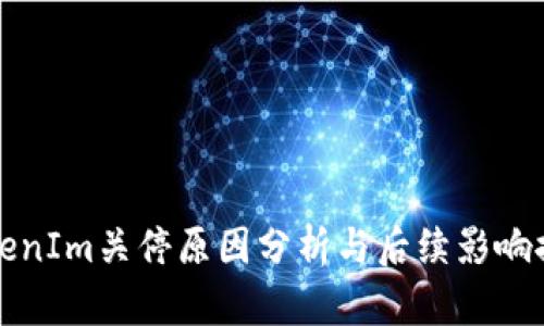 TokenIm关停原因分析与后续影响探究
