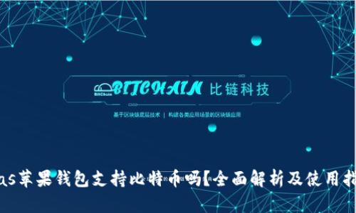 bias苹果钱包支持比特币吗？全面解析及使用指南