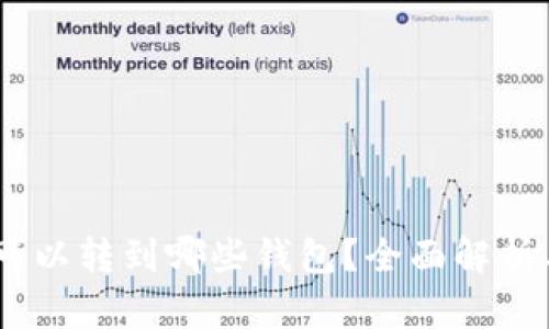 USDT可以转到哪些钱包？全面解析与推荐