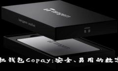 了解比特币手机钱包Copa