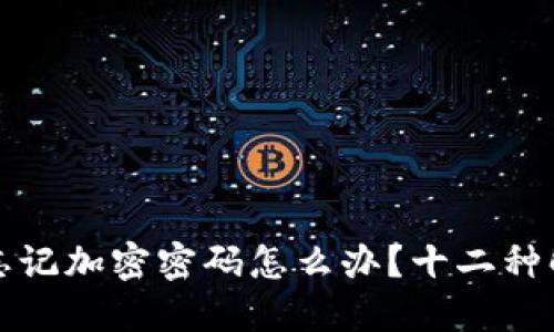 比特币钱包忘记加密密码怎么办？十二种解决方案详解