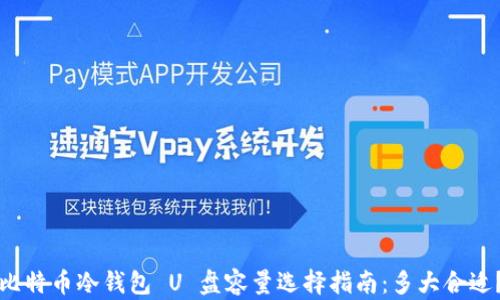 
比特币冷钱包 U 盘容量选择指南：多大合适？