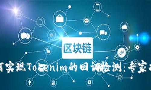如何实现Tokenim的回调检测：专家指南