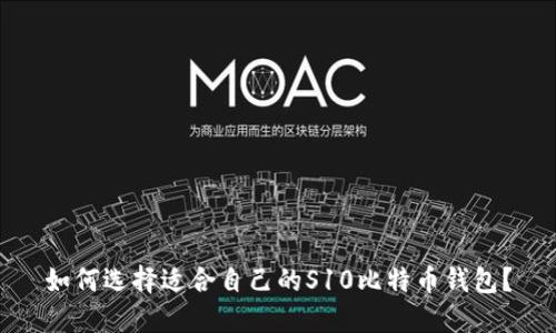 如何选择适合自己的S10比特币钱包？
