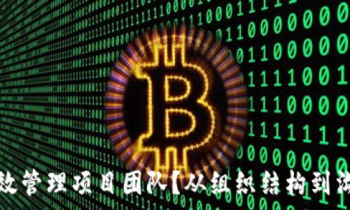  
怎样有效管理项目团队？从组织结构到沟通技巧