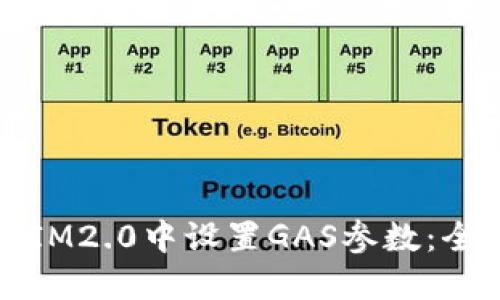 如何在IM2.0中设置GAS参数：全面指南