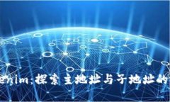 ### Tokenim：探索主地址与子