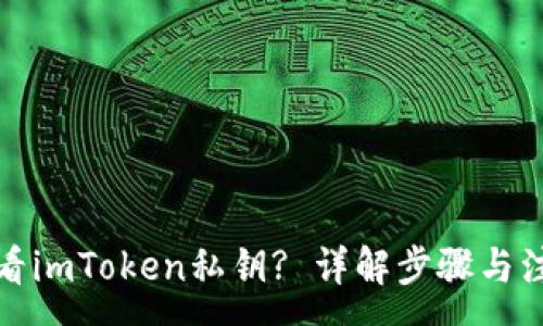 :
如何查看imToken私钥? 详解步骤与注意事项