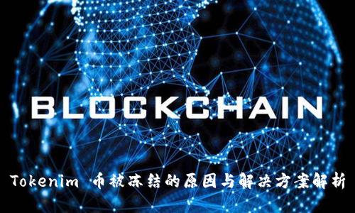 Tokenim 币被冻结的原因与解决方案解析