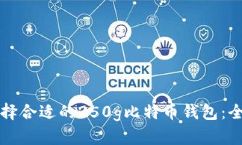 如何选择合适的250g比特币钱包：全面指南
