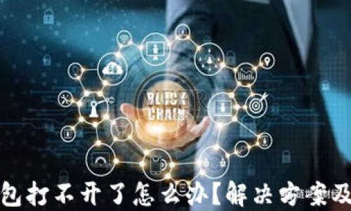 
比特币钱包打不开了怎么办？解决方案及预防措施