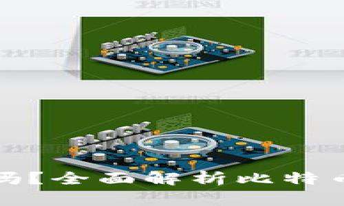 下载比特币钱包安全吗？全面解析比特币钱包的安全性与风险
