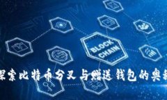 探索比特币分叉与赠送钱