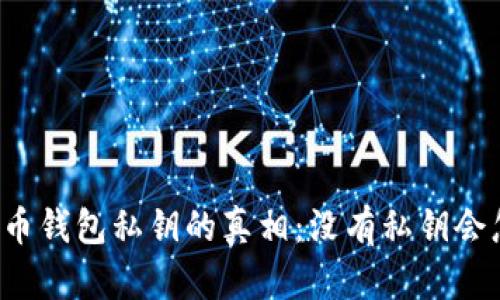 比特币钱包私钥的真相：没有私钥会怎样？