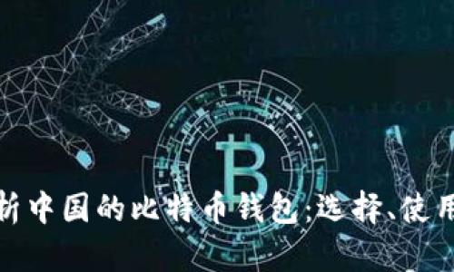 全面解析中国的比特币钱包：选择、使用与安全