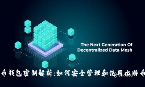 比特币钱包密钥解析：如何安全管理和使用比特币钱包