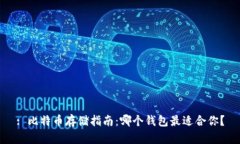 : 比特币存储指南：哪个钱