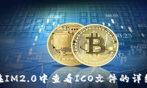   
如何在IM2.0中查看ICO文件的详细步骤