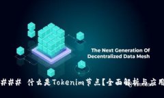 ### 什么是Tokenim节点？全面