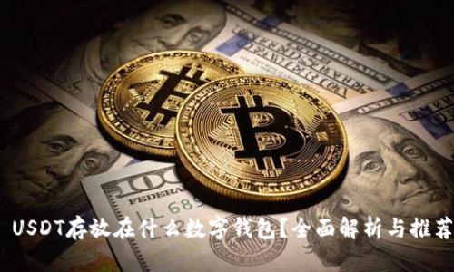  USDT存放在什么数字钱包？全面解析与推荐 