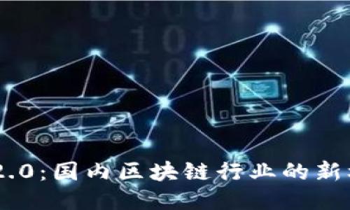 Tokenim 2.0：国内区块链行业的新机遇与挑战
