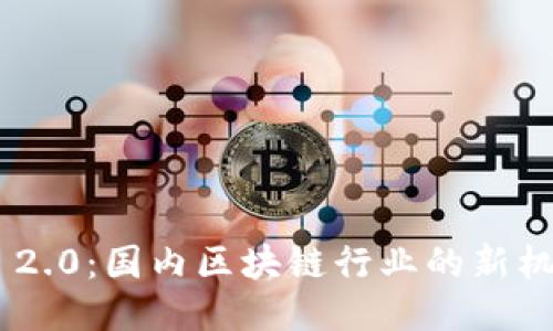 Tokenim 2.0：国内区块链行业的新机遇与挑战