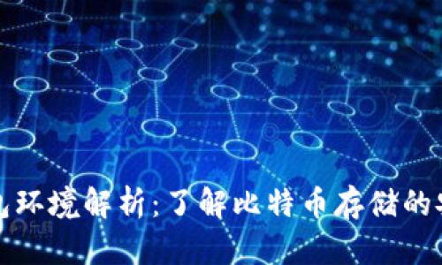 比特币钱包环境解析：了解比特币存储的安全与选择