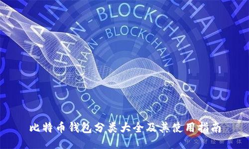 比特币钱包分类大全及其使用指南