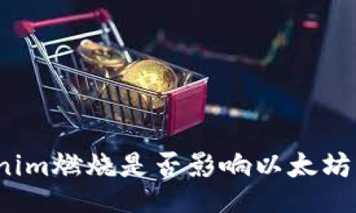 Tokenim燃烧是否影响以太坊生态？