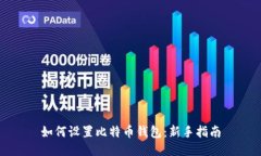 如何设置比特币钱包：新