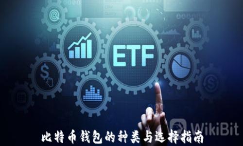 
比特币钱包的种类与选择指南