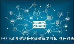 IM2.0应用程序如何连接数字