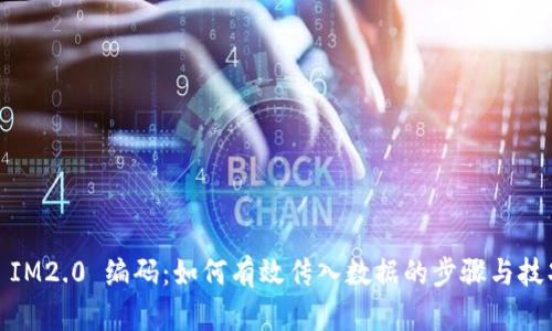 : IM2.0 编码：如何有效传入数据的步骤与技巧