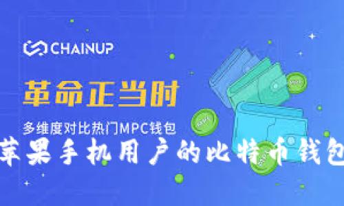 适合苹果手机用户的比特币钱包推荐