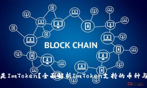什么是ImToken？全面解析ImToken支持的币种与功能