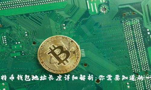 比特币钱包地址长度详细解析：你需要知道的一切